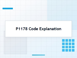 P1178 Code Explanation and Fix Tips